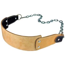 Weightlifting Belts