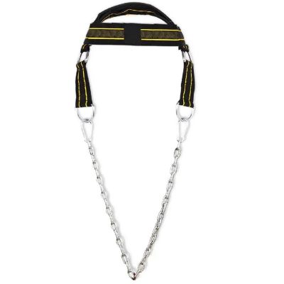 Head Harness