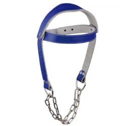 Head Harness