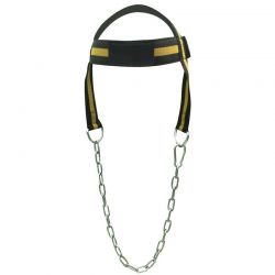 Head Harness